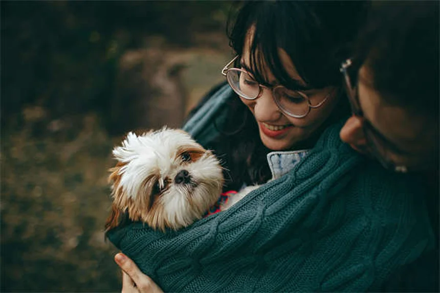 Comment éduquer son chat à la laisse : 7 étapes faciles